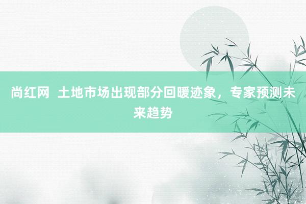 尚红网  土地市场出现部分回暖迹象，专家预测未来趋势