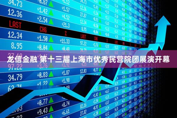 龙信金融 第十三届上海市优秀民营院团展演开幕