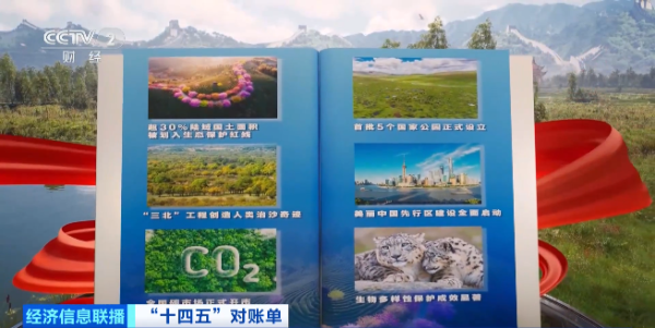 点赢通 增绿最多、最快！我国贡献全球大约25%新增绿化面积