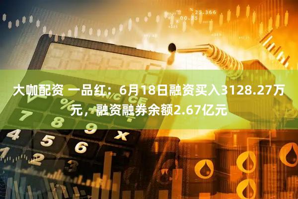 大咖配资 一品红：6月18日融资买入3128.27万元，融资融券余额2.67亿元